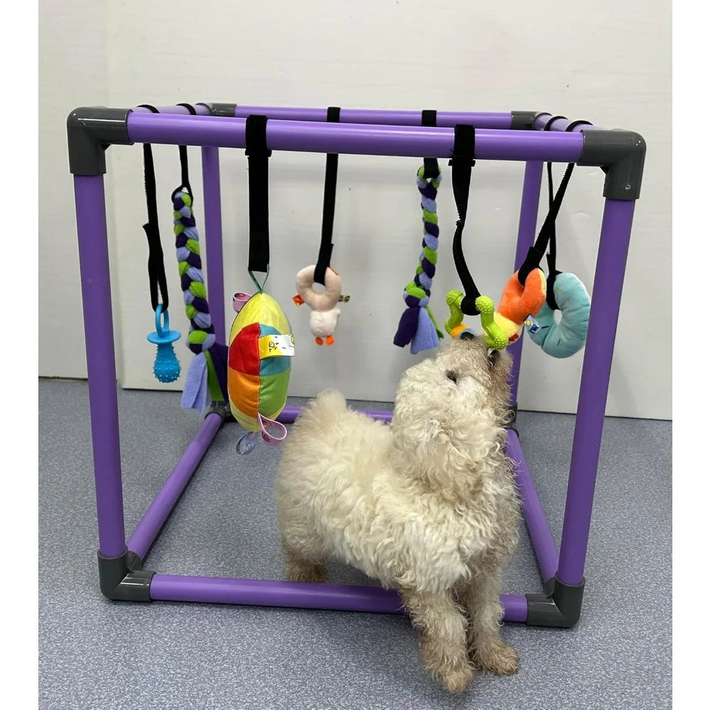 Puppy Play Gym for Small Dogs with 8 Hanging Toys, Jungle Playground with Interactive Funny Enrichment Toys to Keep Them Busy