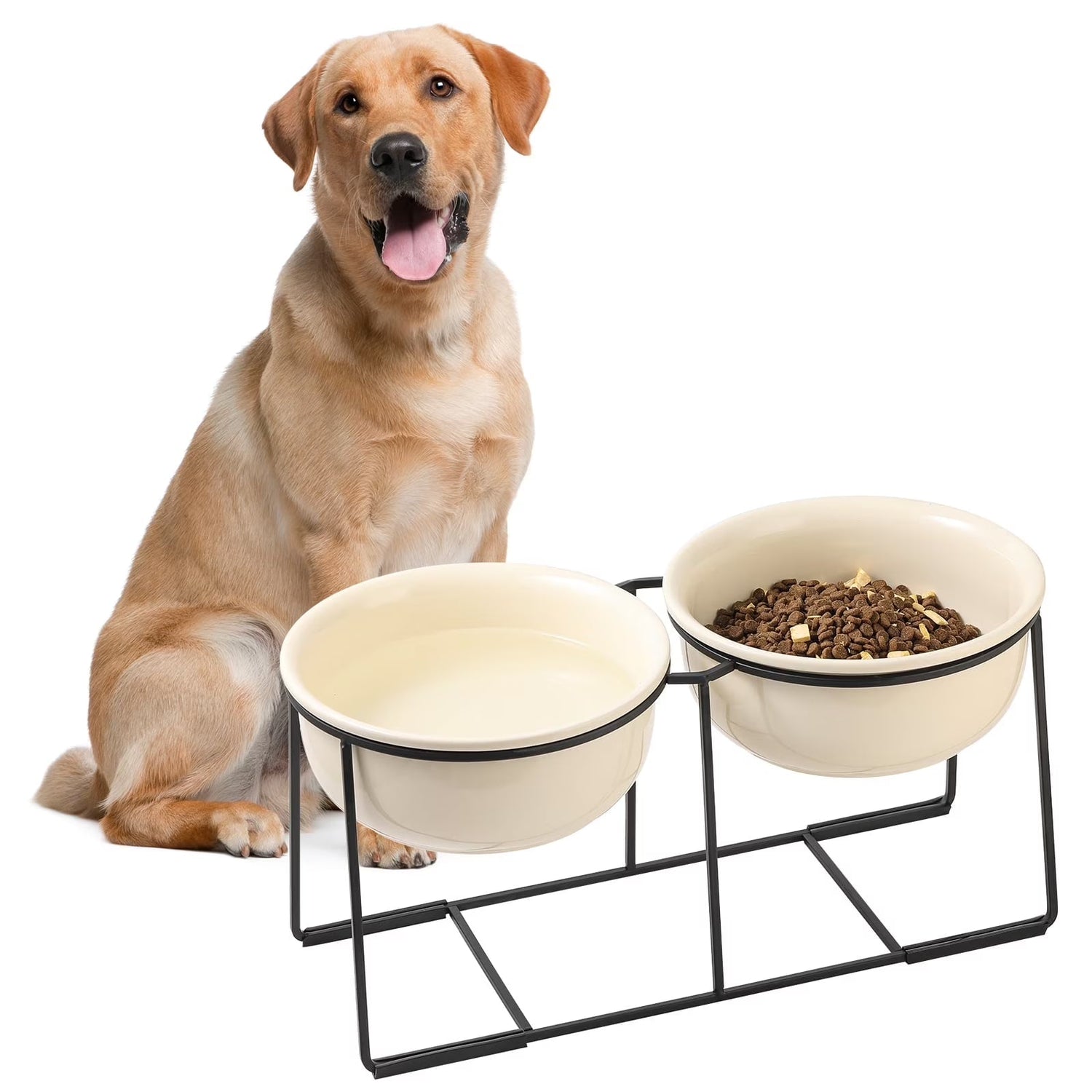 Dog Bowls