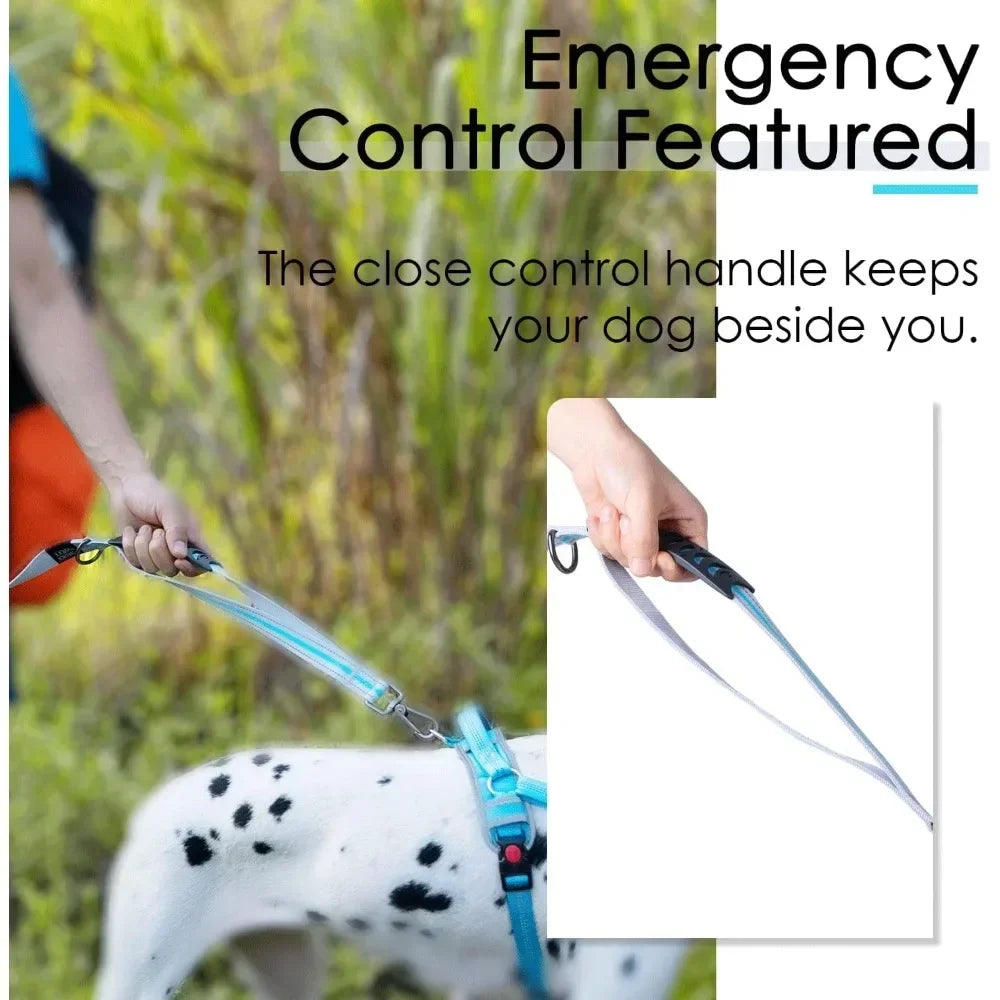 Dog Leashes –Traffic Control Double Handle Leash, 2 Handles Leash Comfortable Padded Heavy Duty Bungee No Pull Reflective Lead